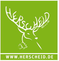 Neubau, Altbau, Straßenbeleuchtung, öffentliche Gebäude, Sicherheitstechnik Logo www.hirscheid.de